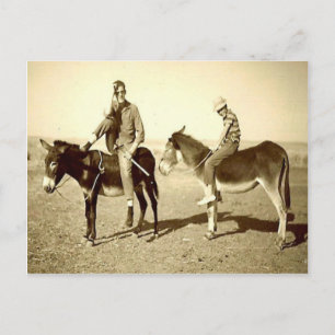 Vintage Algeria Explorations on a donkey Postcard