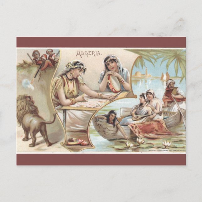 Vintage Algeria Postcard (Front)