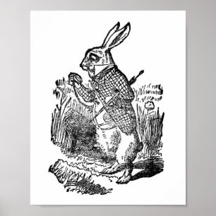 Vintage Alice in Wonderland Illustration Poster