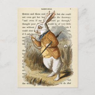 Vintage Alice in Wonderland Postcard