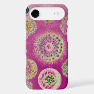 Vintage Altered Haeckel