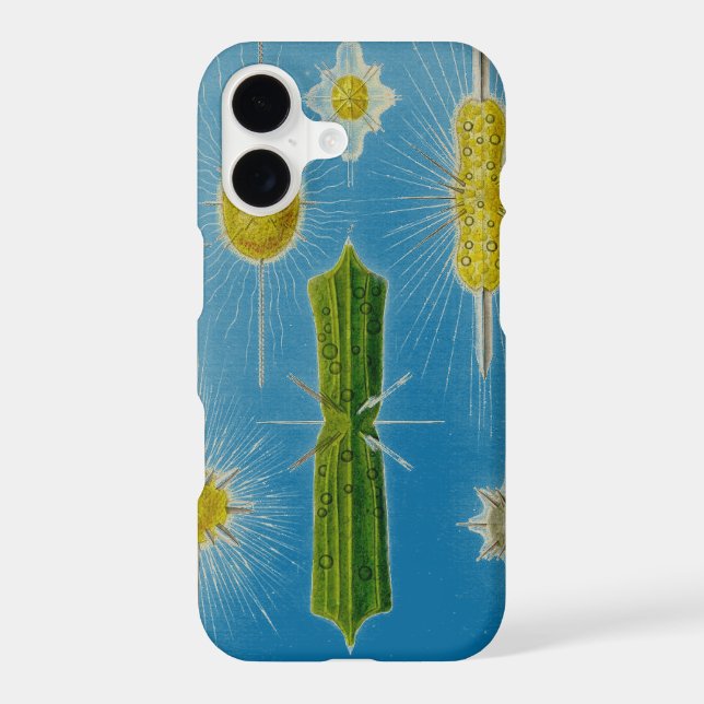 Vintage  Altered Haeckel  (Back)