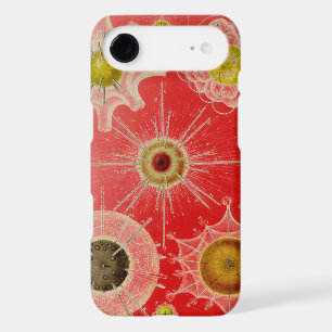 Vintage Altered Haeckel