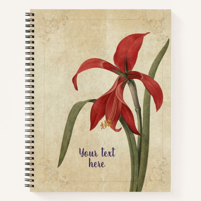Vintage Amaryllis Notebook (Front)