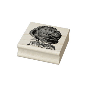 Vintage American Beauty Rose Stamp