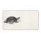 Vintage American Box Tortoise - Turtle Template