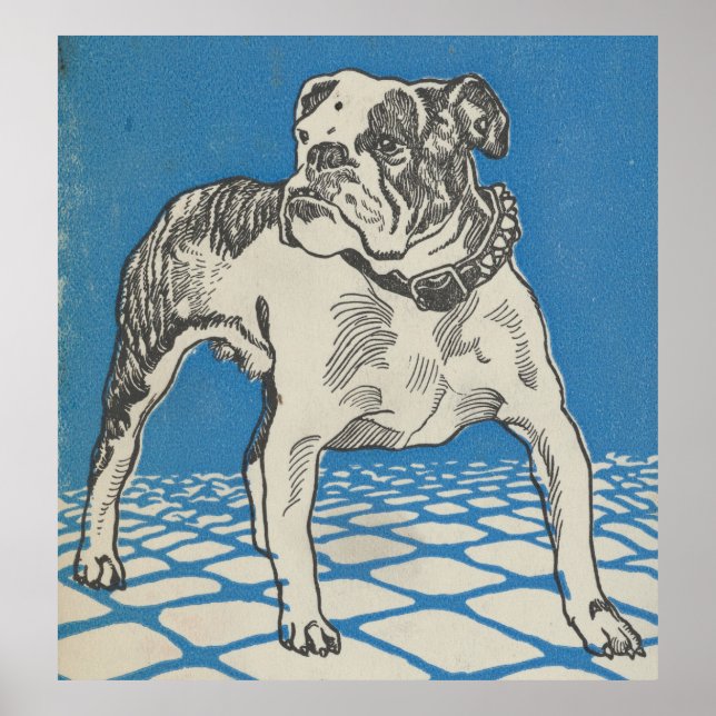 Vintage American Bulldog Illustration (1912) Poster (Front)