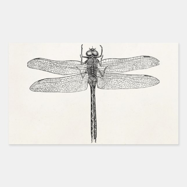 Vintage American Dragonfly Dragon Fly Template Rectangular Sticker (Front)