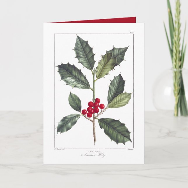 VINTAGE AMERICAN HOLLY CHRISTMAS GREETING CARD (Front)