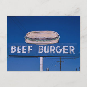 Vintage American Scenery  Postcard