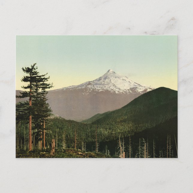 Vintage American Scenery  Postcard (Front)