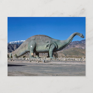 Vintage American Scenery  Postcard