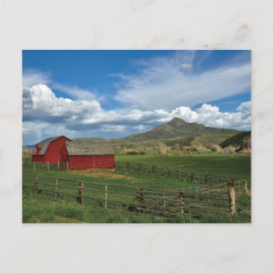 Vintage American Scenery  Postcard