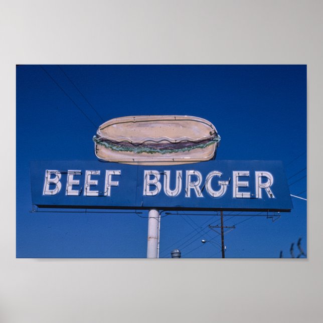 Vintage American Scenery   Poster (Front)