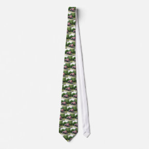 Vintage American Steam Locomotive Tie