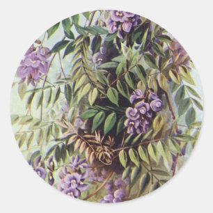 Vintage American Wisteria Purple Flowers Floral Classic Round Sticker
