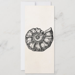 Vintage Ammonite Seashell Fossil Shell Template