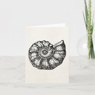 Vintage Ammonite Seashell Fossil Shell Template