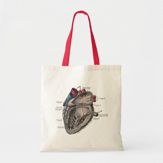 Vintage Anatomical Heart Diagram Tote Bag (Front)
