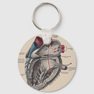 Vintage Anatomical Heart Key Ring