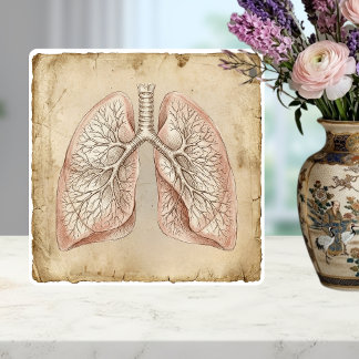 Vintage Anatomical Lungs Illustration Sketch Ceramic Tile