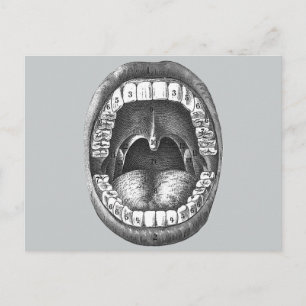 Vintage Anatomical Mouth Postcard