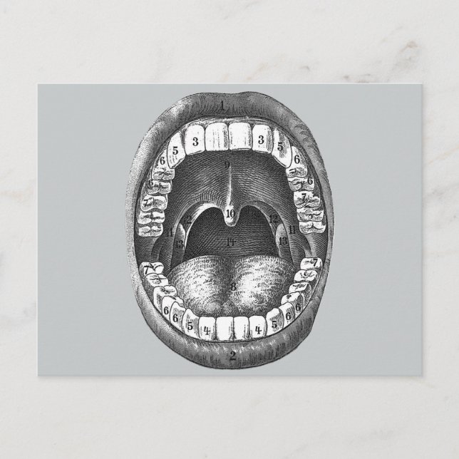Vintage Anatomical Mouth Postcard (Front)