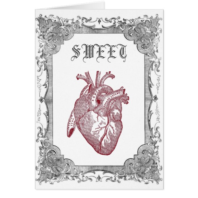 Vintage Anatomical Sweetheart Card (Front)