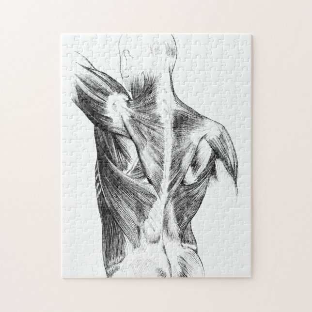 Vintage Anatomy | Back Muscles  (circa 1852) | B/W Jigsaw Puzzle (Vertical)