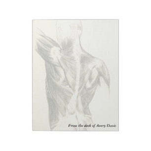 Vintage Anatomy   Back Muscles (circa 1852) Notepad
