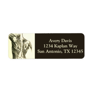 Vintage Anatomy   Back Muscles (circa 1852) Return Address Label