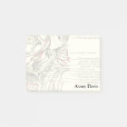 Vintage Anatomy Base of the skull external