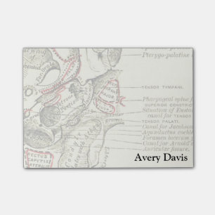 Vintage Anatomy Base of the skull external Post-it Notes