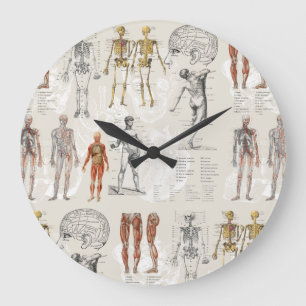 Vintage Anatomy Biology Art Collage  Large Clock