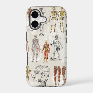 Vintage Anatomy Biology Illustrations