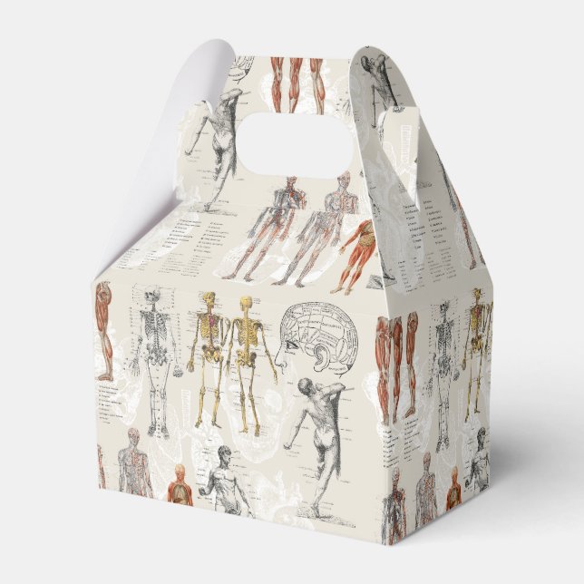 Vintage Anatomy Biology Illustrations Favour Box (Front Side)