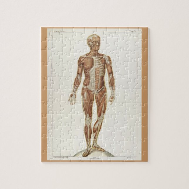Vintage Anatomy Book Pages Jigsaw Puzzle (Vertical)