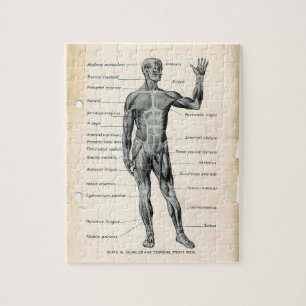 Vintage Anatomy Book Pages Jigsaw Puzzle