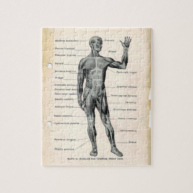 Vintage Anatomy Book Pages Jigsaw Puzzle (Vertical)
