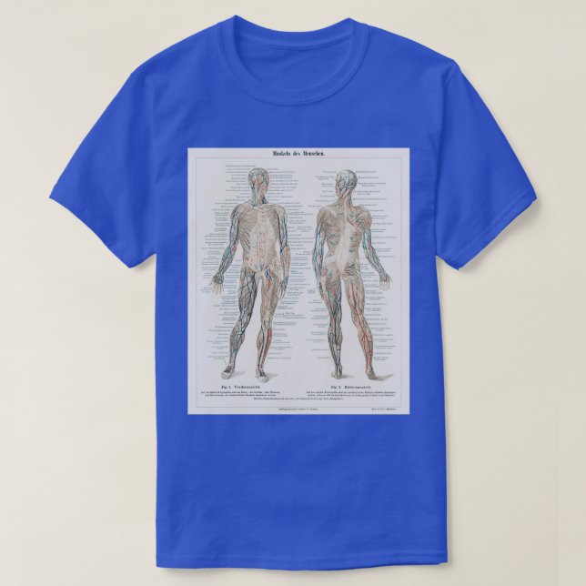 Vintage Anatomy Diagram T-Shirt (Design Front)