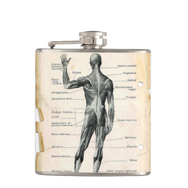 Vintage Anatomy Drawing Hip Flask (Front)