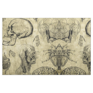 Vintage Anatomy Fabric