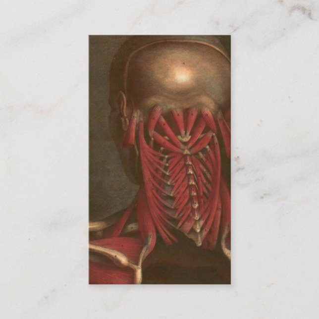 Vintage Anatomy | Neck and Shoulders Business Card (Front)