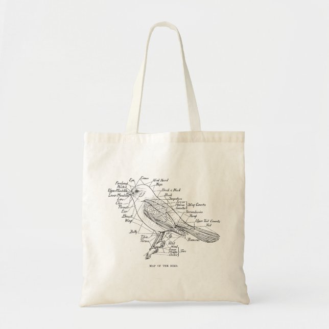 Vintage Anatomy Of A Bird Illustration Tote Bag (Front)