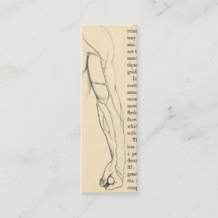 Vintage Anatomy Veins of the Arm (circa 1852) Mini Business Card