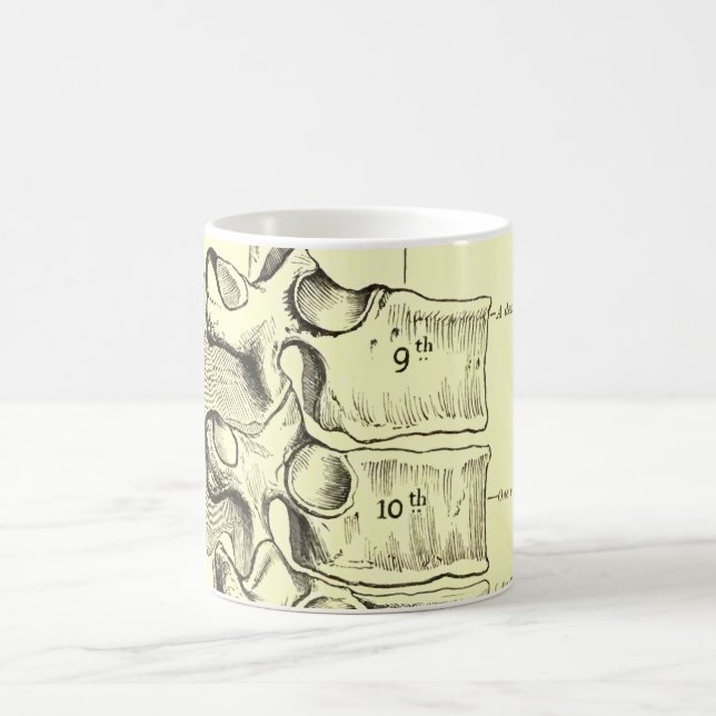 Vintage Anatomy | Vertebrae Coffee Mug (Center)