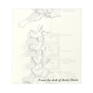 Vintage Anatomy   Vertebrae Notepad