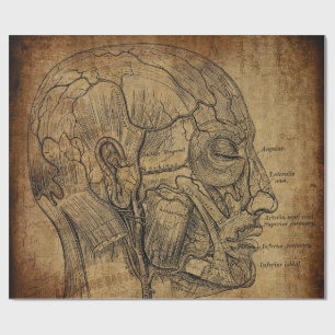 Vintage Anatomy Wrapping Paper