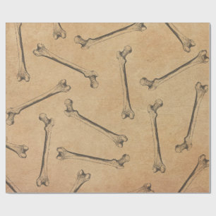 Vintage Anatomy Wrapping Paper