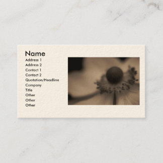 Vintage Anemone Business & Profile Cards